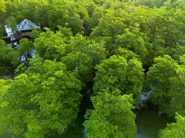 An aerial view of a house in a forest photo