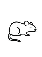 mouse icon, lab mouse symbol vector