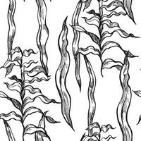 hand drawn seamless pattern with underwater algae, branches of plant at bottom of sea, ocean, monochrome illustration of aquarium decor, black white sketch of reef grass, marine line art vector