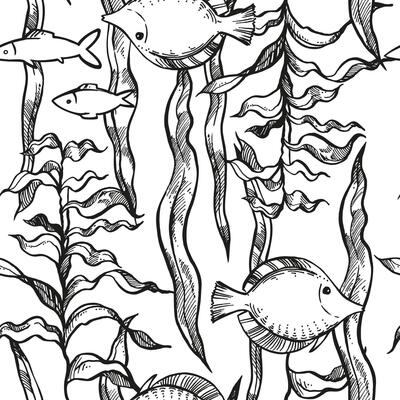 illustration of seabed, seamless pattern of depths, hand drawn underwater algae, plant at bottom of sea, ocean, tropical fishes, monochrome black and white sketch of reef, marine line art