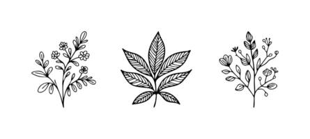 Botanical illustrations for hand drawn boho art vector