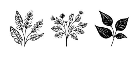 Line Art Flower Elements on white background vector