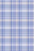 Towel plaid fabric check, classical textile tartan. Household seamless texture background pattern in light and white colors. vector