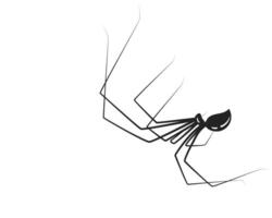 Minimalist illustration of a spider descending on thin strands. Symbolic of danger, fear, and the unexpected. Use for Halloween, web security, or edgy design. vector