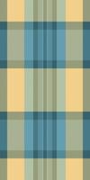 Elegant pastel plaid pattern, perfect for textile design, apparel, or website backgrounds. Subtle yet stylish, this seamless texture evokes feelings of calmness and sophistication. vector