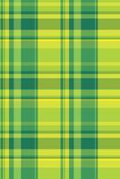 Vibrant green and yellow plaid pattern. Perfect for textile design, website backgrounds, or springsummer themed projects. This cheerful, geometric design evokes feelings of freshness and optimism. vector