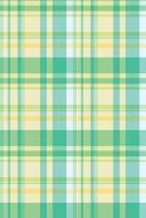 Vibrant pastel plaid pattern in springlike hues. Ideal for textile designs, website backgrounds, or crafting projects. This cheerful and refreshing image evokes feelings of optimism and renewal. vector