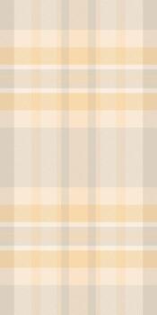 sutil beige y melocotón tartán modelo. Perfecto para textil diseño, sitio web antecedentes, o papelería. evoca sentimientos de calor, calma, y sofisticación. vector