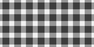 Stylish monochrome gingham pattern. Perfect for backgrounds, textiles, or website design. Clean, classic, and versatile evokes feelings of simplicity and order. vector