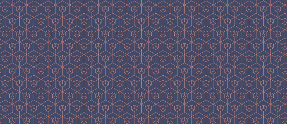 Elegant geometric pattern featuring a repeating hexagonal design in muted blue and coral tones. Perfect for textile prints, website backgrounds, or sophisticated branding.