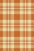 Exotic plaid texture, modern fabric textile tartan. Individuality background seamless check pattern in orange and light colors. vector