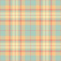 Classic plaid pattern in soft, pastel hues. A versatile background for design projects, textiles, invitations, and holidaythemed visuals. vector