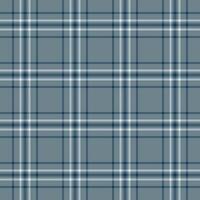 Subtle blue and white plaid pattern. Elegant, versatile design perfect for websites, textiles, or packaging. Creates a sense of calm and sophistication. vector