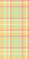 Pastel plaid pattern. Soft, delicate texture ideal for textile designs, backgrounds, or website layouts. Evokes feelings of warmth, comfort, and spring. Versatile and visually appealing. vector
