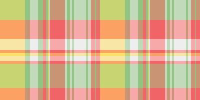 Pastel plaid pattern. Perfect for textile design, fashion, websites, or backgrounds. Soft, cheerful colors create a calming and stylish aesthetic. Ideal for springsummer projects. vector