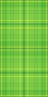 Chinese new year seamless textile plaid, age fabric pattern texture. Gentle tartan background check in green and lime colors. vector