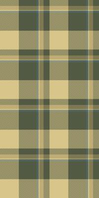 Living room background check seamless, scotland plaid texture. Workshop textile tartan pattern fabric in pastel and yellow colors.