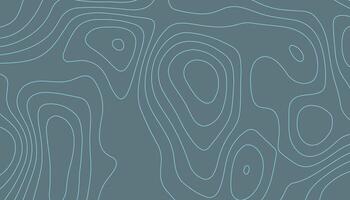 Minimal Topographic Map Background vector