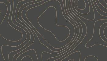 Elevation Map Background with Smooth Orange Contours vector