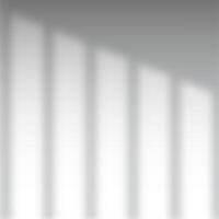 Window shadow overlay in shades of grey and white vector