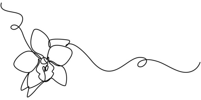 continuo uno línea dibujo hermosa orquídeas línea Arte modelo. exótico flores dibujo en sencillo antecedentes vector