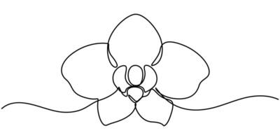 Continuous one single minimal line drawing Orchid flower vector