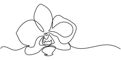 Orchid in a Continuous One Line Drawing with Editable Stroke vector