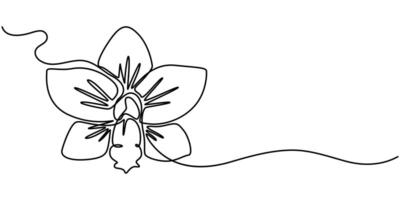 Orchid flower continuous one line drawing minimalism design isolated on white Background vector