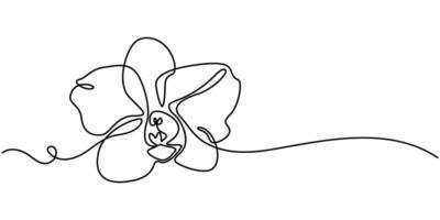 continuous one line drawing simple illustration, orchid in outline style, tropical flower, print vector