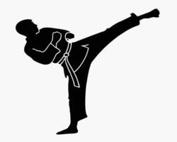 Silhouette of a Karate Practitioner Executing a High Kick with Precision vector