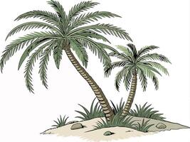 Tropical Palm Trees on a Sandy Island with Green Grass Illustration vector
