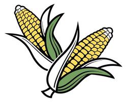 Illustration of Two Ears of Corn with Husks and Green Leaves vector
