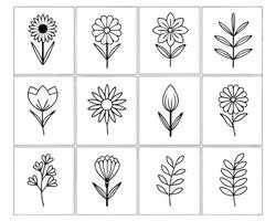 Collection of Simple Black and White Flower and Leaf Illustrations in Square Frames vector
