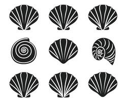 Black and White Seashell Collection Illustration of Various Shell Shapes vector