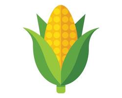 Stylized Corn on the Cob with Green Husks on White Background vector