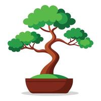 Artistic Bonsai Plant Illustrations vector