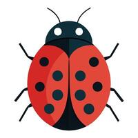 Nature's Bugs and Critters Art vector