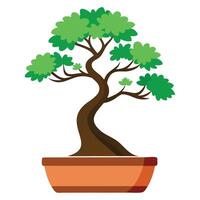 Miniature Bonsai Tree Graphics vector