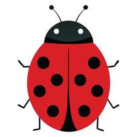 Tiny Wonders Designs vector