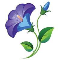 Exotic Clitoria Ternatea Designs vector