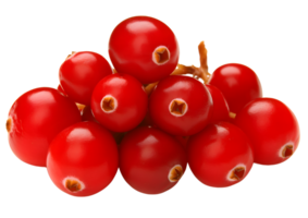 Fresh cranberries with transparent background for culinary and design applications. png