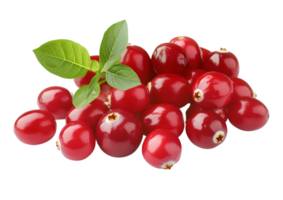 Fresh cranberries with transparent background for culinary and design uses. png