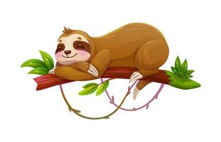 Cartoon lazy sloth animal sleeping on tree branch vector