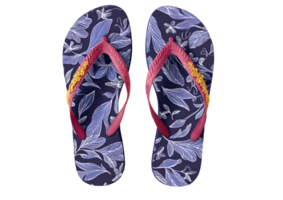 Stylish flip flop graphic with transparent background in format, perfect for fashion and travel projects. png