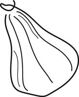 simple line art icon with a round ripe pumpkin of an oblong shape drawn with several lines, for logos or patterns vector