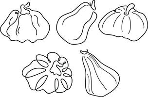 set of pumpkins of various shapes in line art style drawn with several lines, for logos or patterns vector