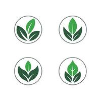 Green leaf icons set. Leaves icon on isolated background. Collection green leaf. Elements design for natural, eco, vegan, bio labels vector