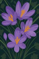 An illustration of four crocus flowers in bloom an one bud. The flowers stand in a green field. vector