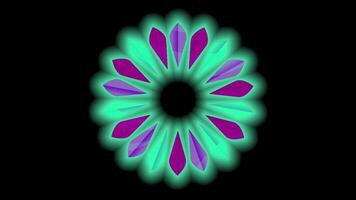 colorida brilhante flor fiação ciclo fundo. rotativo suave luz em Preto fundo. video