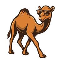 a camel wearing sunglasses and walking illustration vector
